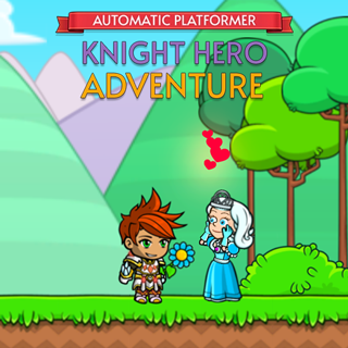 Knight Hero Adventure